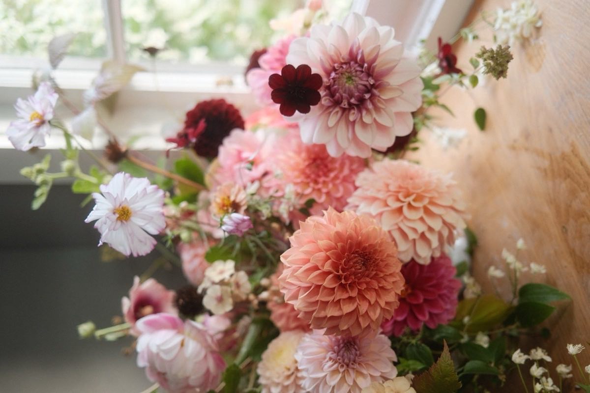 An arrangement of dahlias, cosmos and phlox in a window
